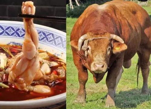 国产牛蛙刺身视频,探索传统美食新吃法