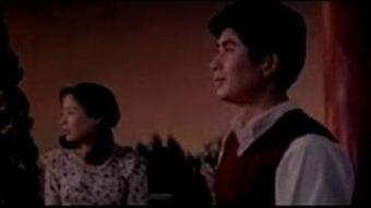 情视频国产,探索中国情感视频文化的独特魅力