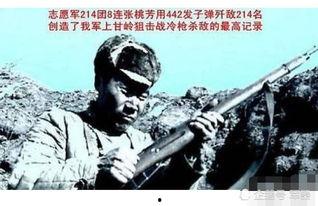 国产步枪击杀视频大全,硬核武器演绎战场传奇