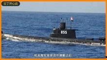 国产潜艇解说视频全集,从无到强，中国海军水下利剑的崛起之路