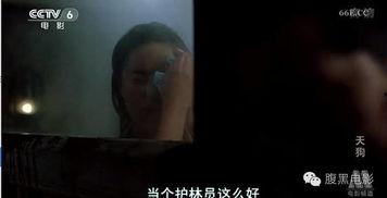 国产免费线观看视频  第2张