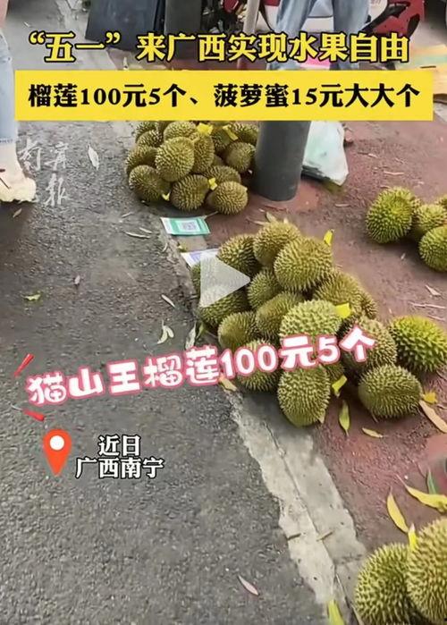 国产榴莲开果翻车视频播放,揭秘种植与收获的意外瞬间  第2张