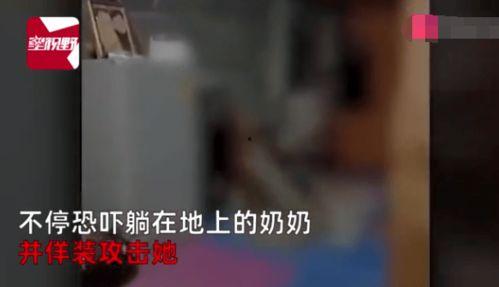 国产大叫免费视频  第2张