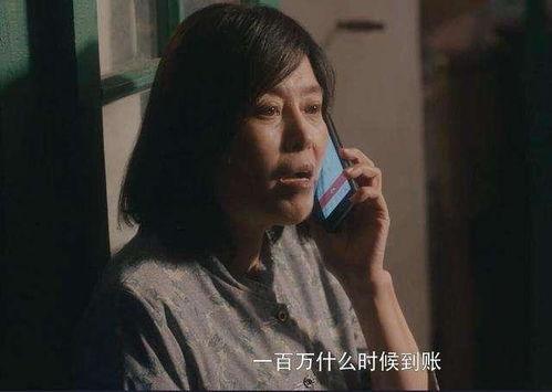 国产男男视频网站免费,免费畅享的视听盛宴  第2张