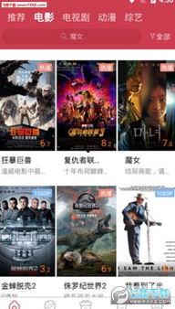 国产黄鱼视频在线,探寻海洋美味之源  第2张