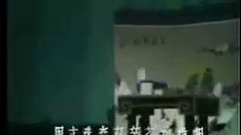 国产恋老视频在线  第2张