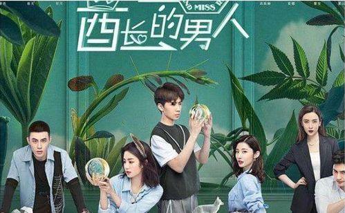 国产剧 高甜片段视频,国产剧高甜片段集锦  第1张