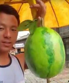 国产西瓜的视频  第2张