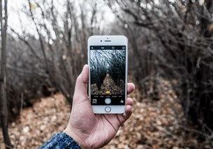 国产手机创新视频大全